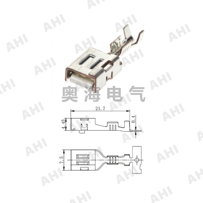 AH6215-6.3X0.8A