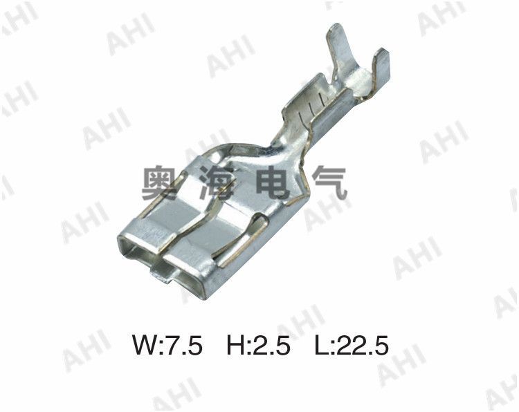 AH621-A6.3×0.8E